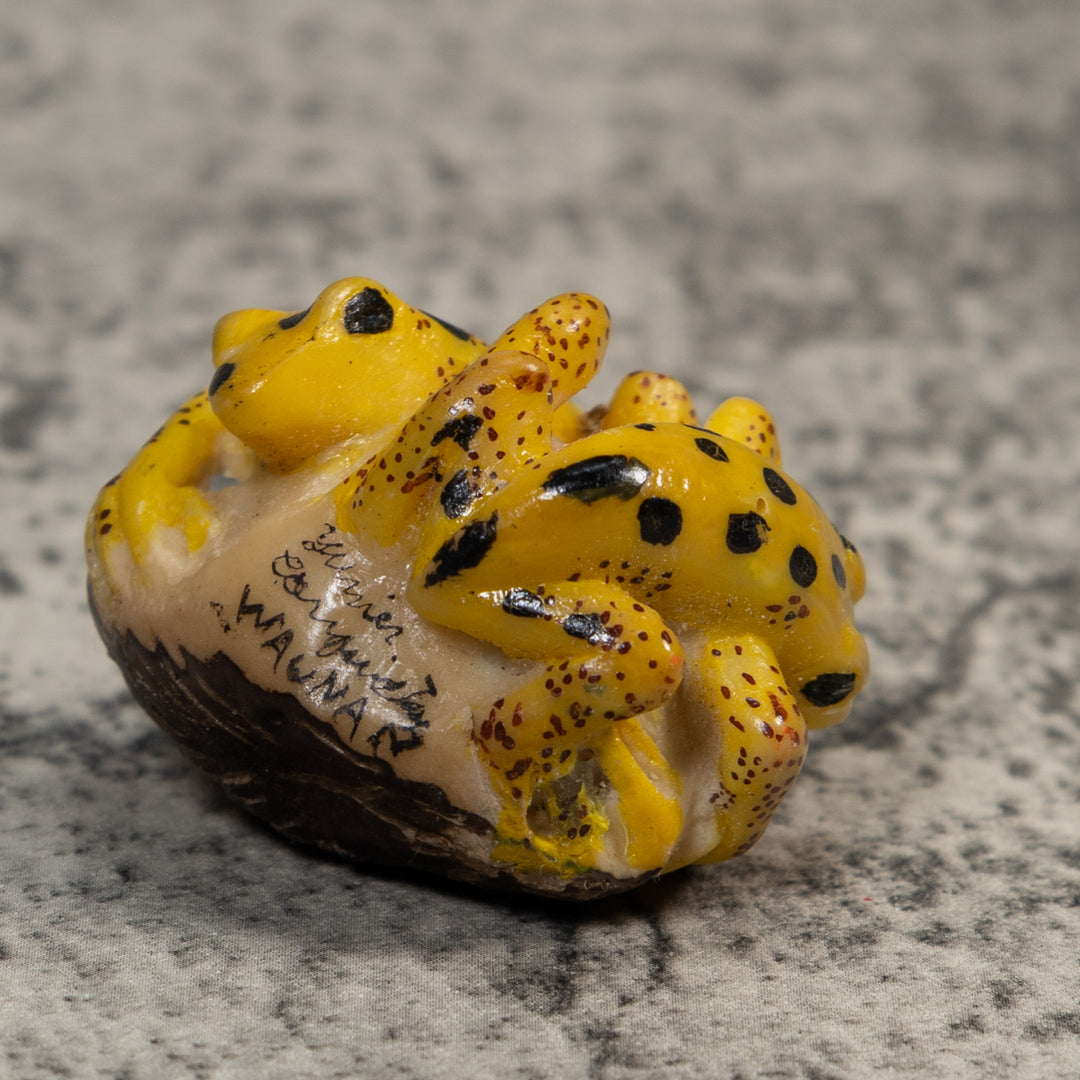 Double Vintage Gold And Black Frog Tagua Carving