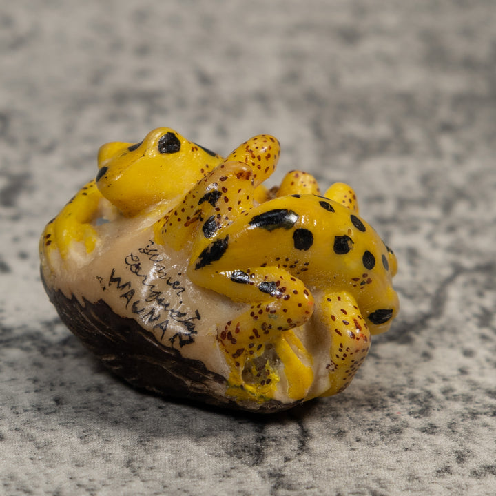 Double Vintage Gold And Black Frog Tagua Carving