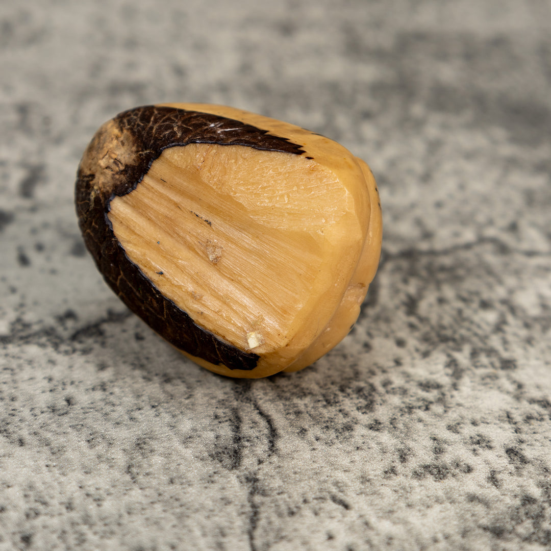 Vintage Primative Natural White Frog Tagua Carving