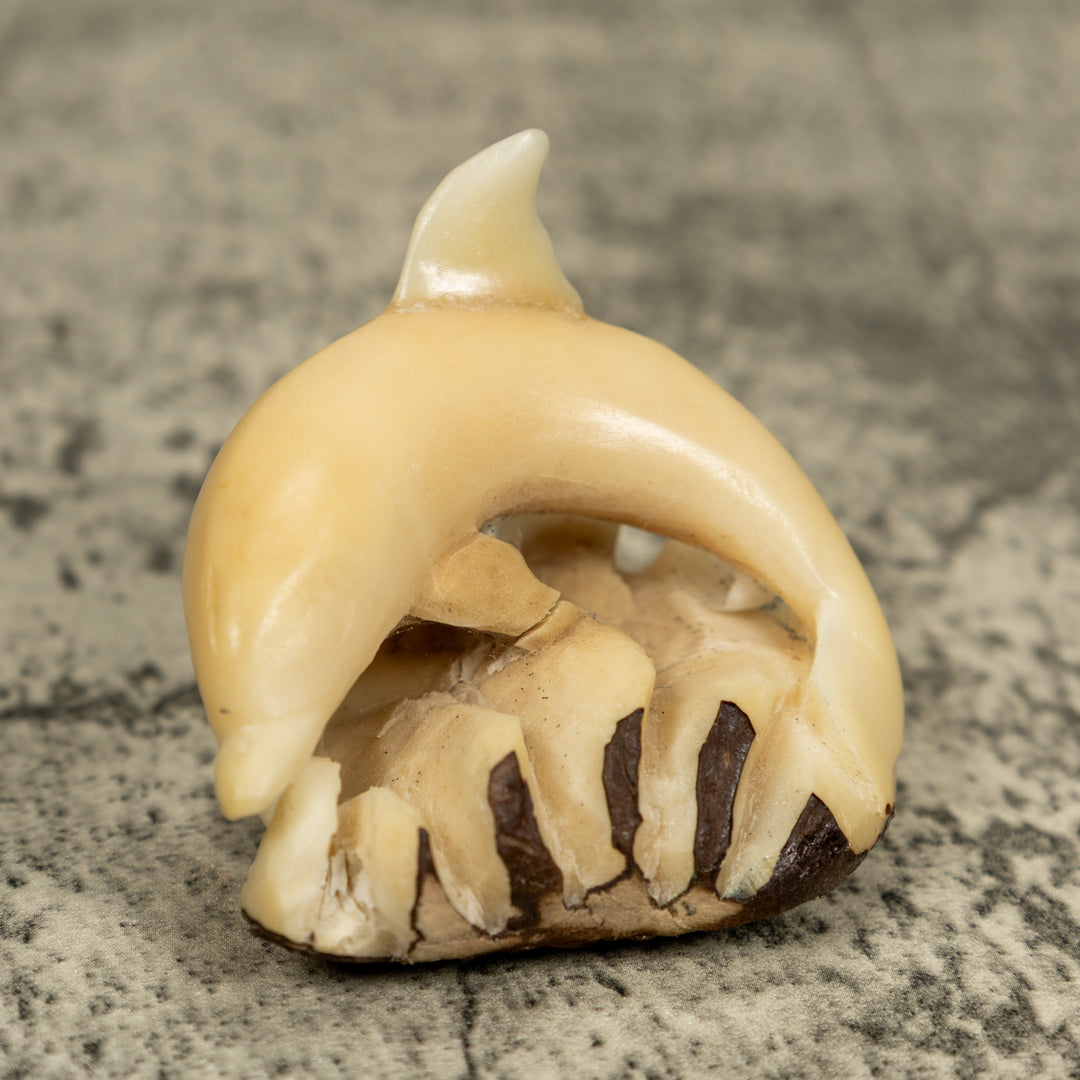 Natural White Dolphin Riding Waves Tagua Carving