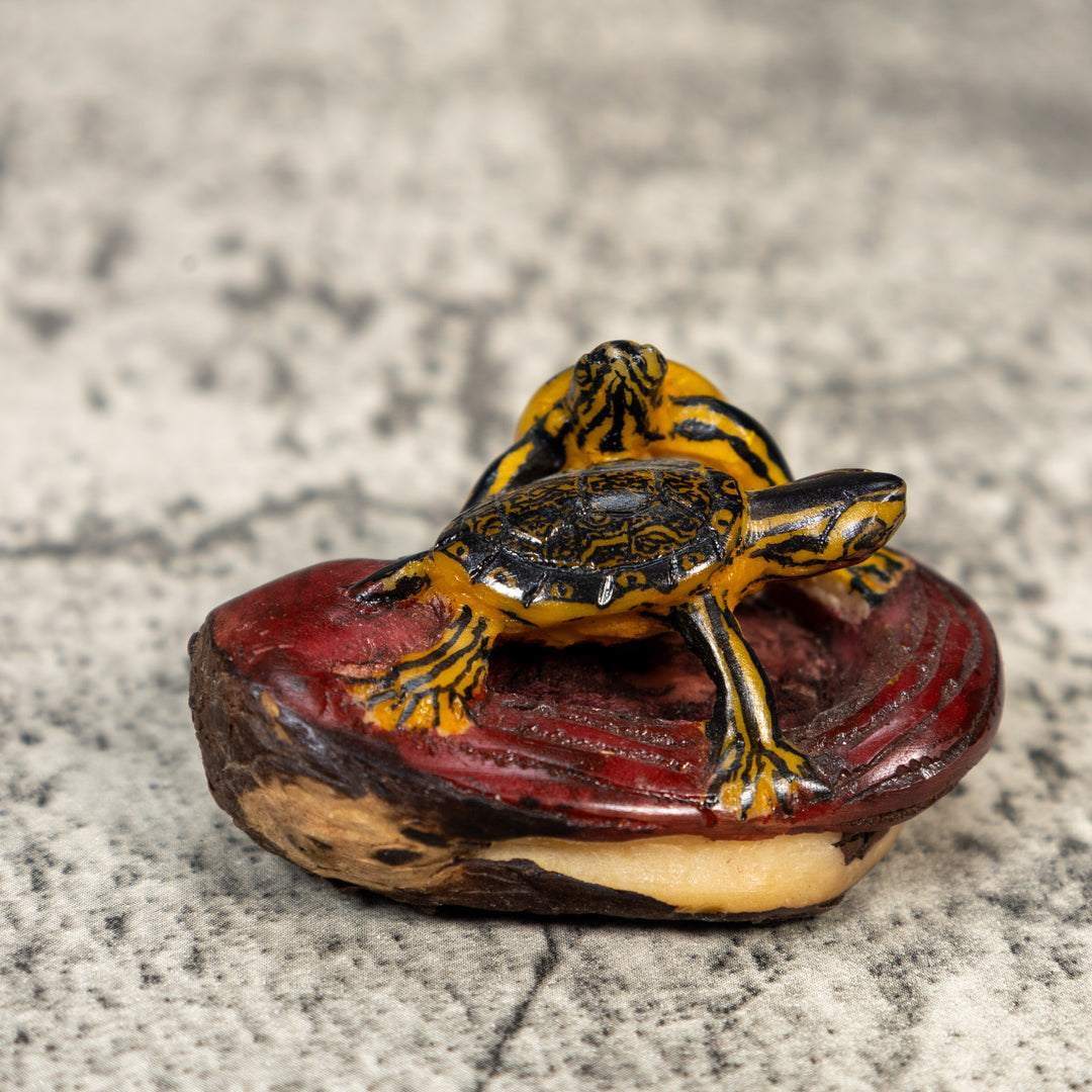 Double Turtle Tortoise Tagua Carving
