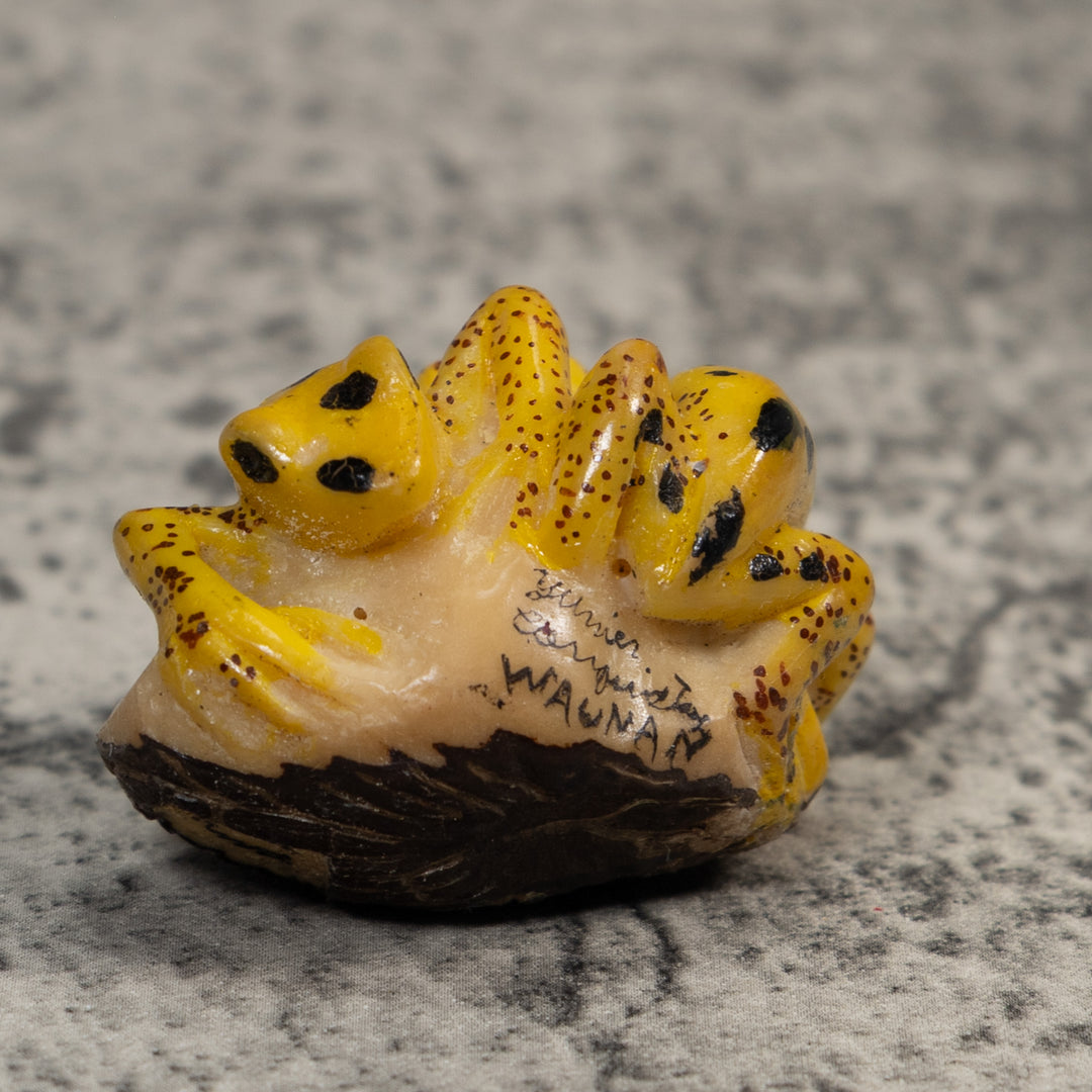 Double Vintage Gold And Black Frog Tagua Carving
