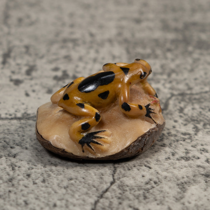 Double Gold And Black Poison Dart Frog Tagua Carving