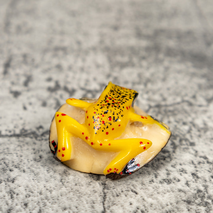 Yellow Poison Dart Frog Tagua Carving