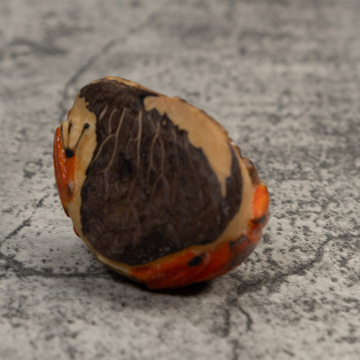 Double Red And Black Poison Dart Frog Tagua Carving