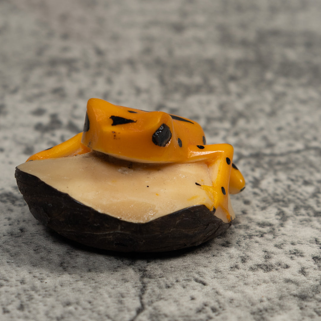 Golden Frog Tagua Carving