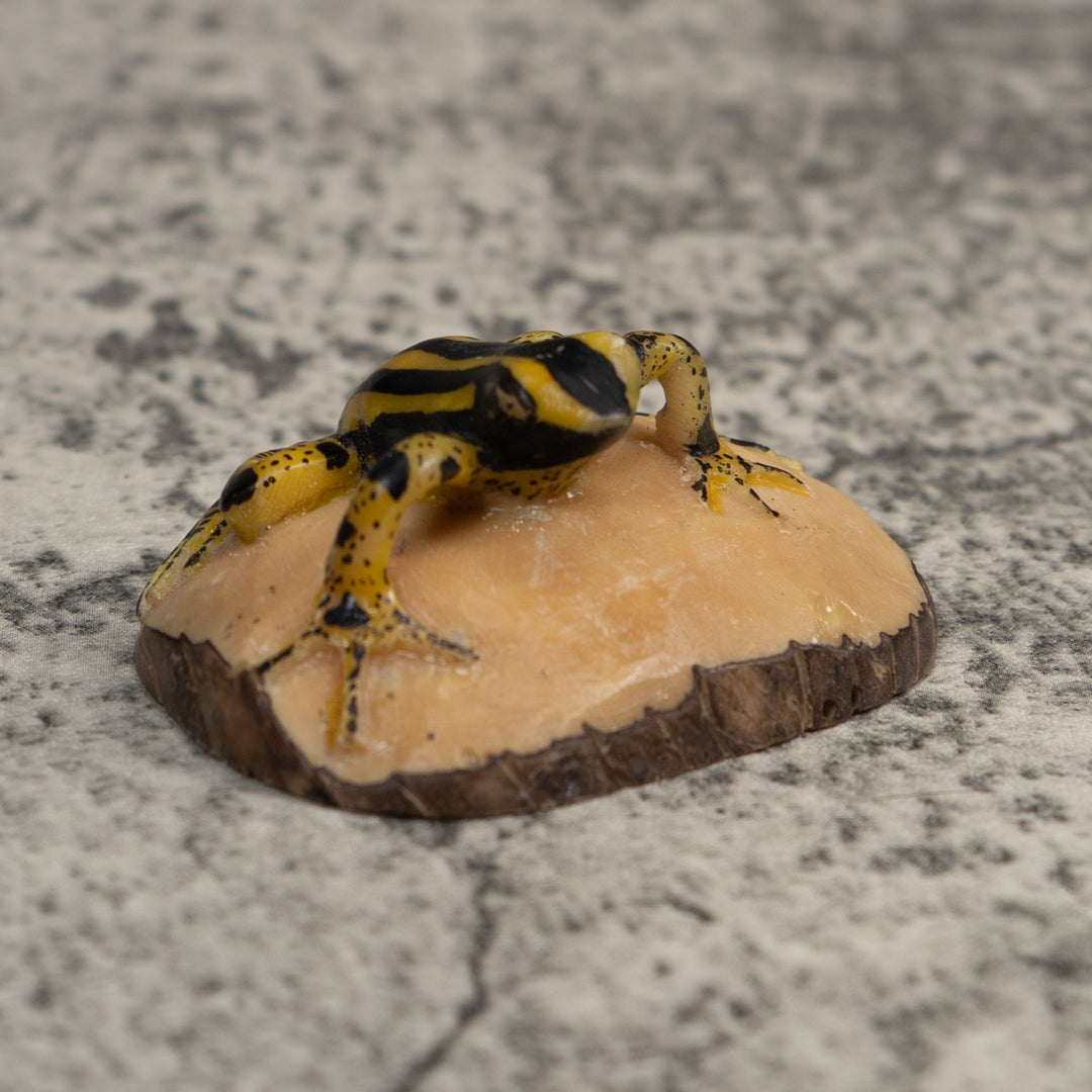 Vintage Black And Yellow Poison Dart Frog Tagua Carving