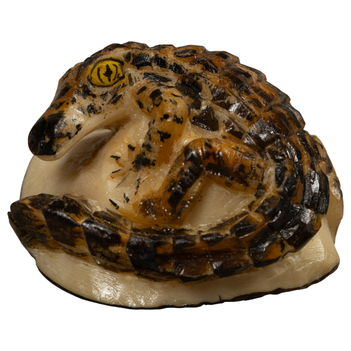 Crocodile Alligator Reptile Tagua Carving