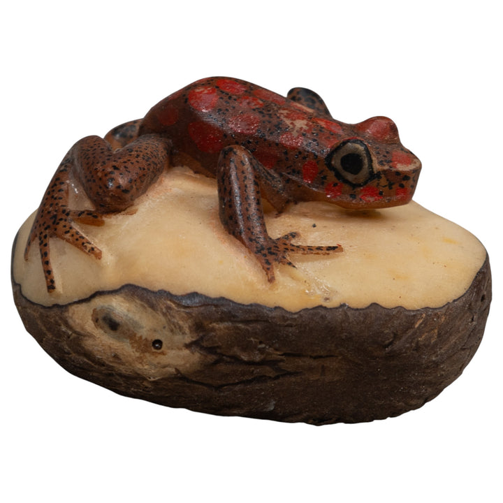 Red And Black Poison Dart Frog Tagua Carving