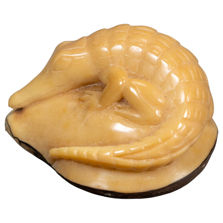 Vintage Natural White Dyed Alligator Tagua Carving