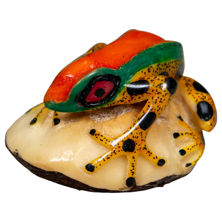 Gold And Black Red Green Poison Dart Frog Tagua Carving