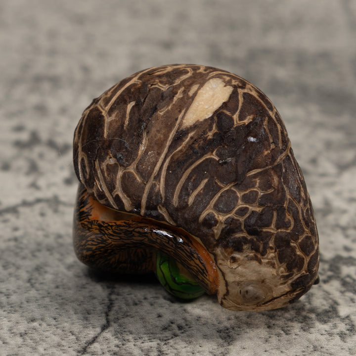 Young Coatimundi Tagua Carving