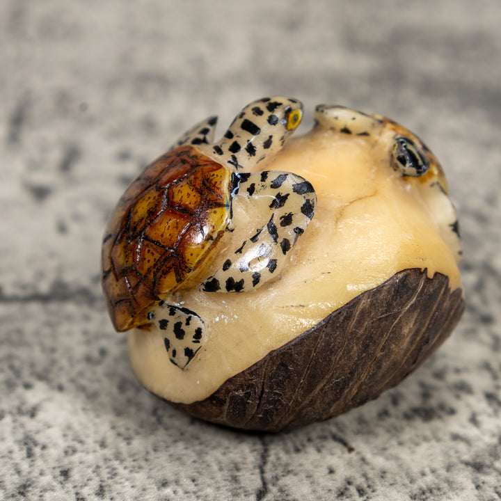 Double Sea Turtle Tagua Carving