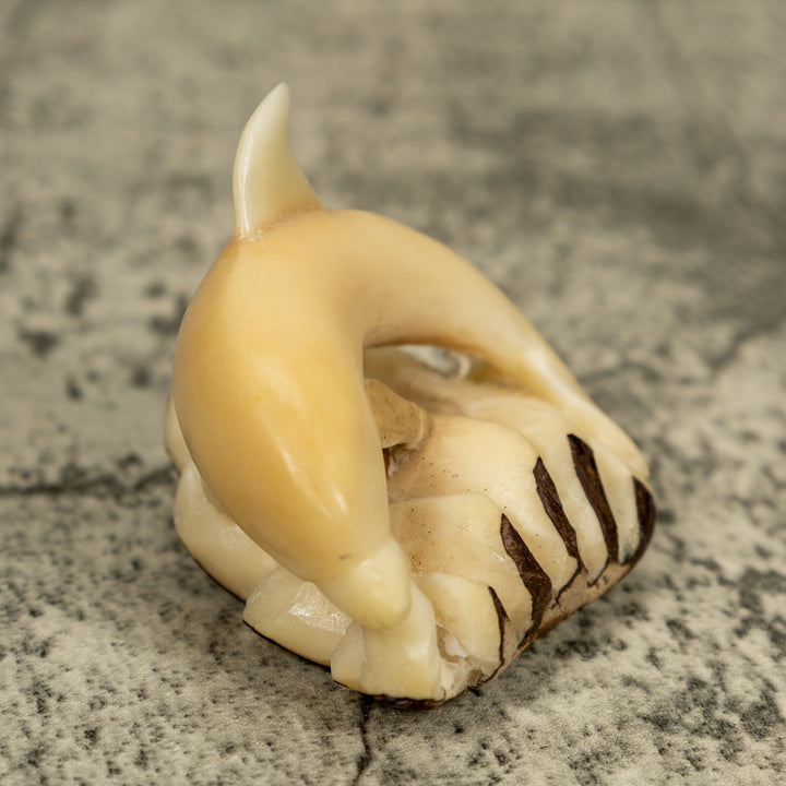 Natural White Dolphin Riding Waves Tagua Carving