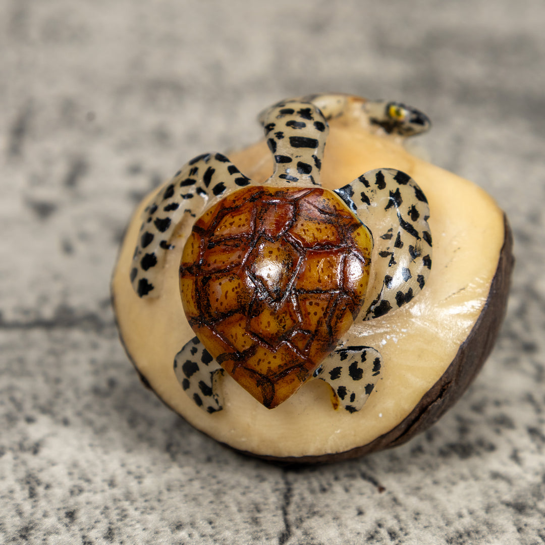 Double Sea Turtle Tagua Carving