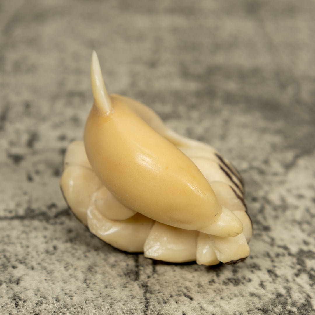 Natural White Dolphin Riding Waves Tagua Carving