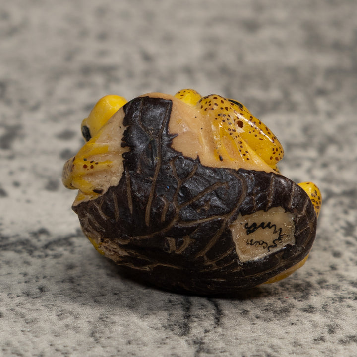 Double Vintage Gold And Black Frog Tagua Carving