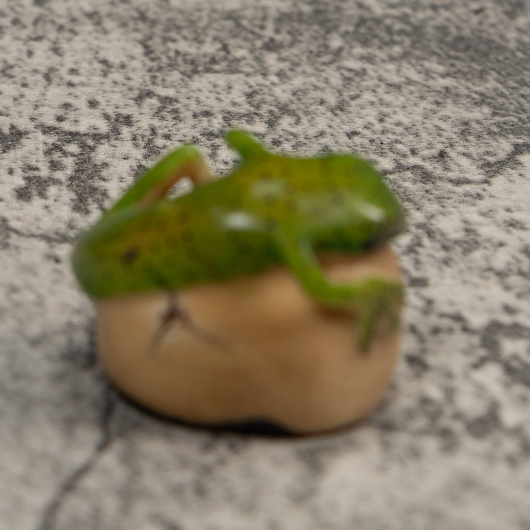 Green Gecko Lizard Tagua Carving