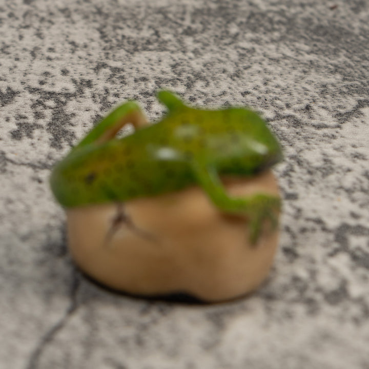 Green Gecko Lizard Tagua Carving