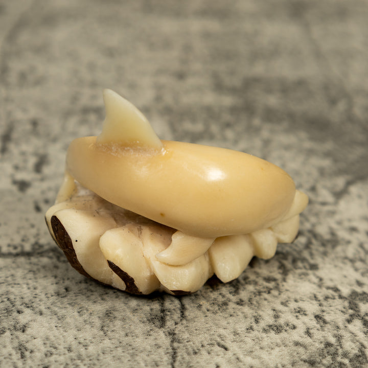 Natural White Dolphin Riding Waves Tagua Carving