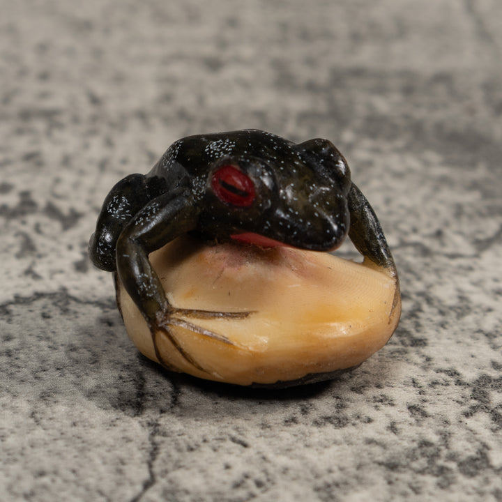 Black Red-Eyed Poison Dart Frog Tagua Carving