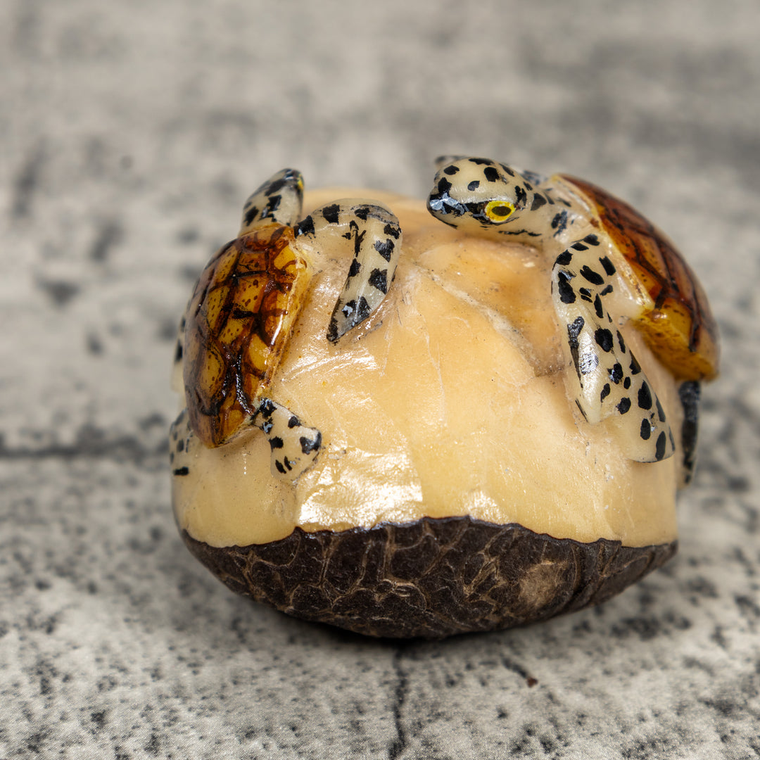Double Sea Turtle Tagua Carving