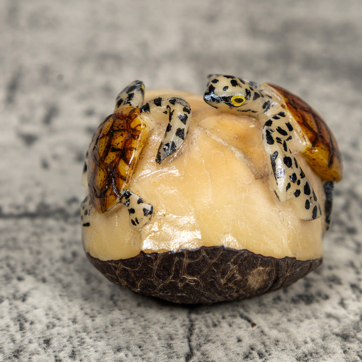 Double Sea Turtle Tagua Carving