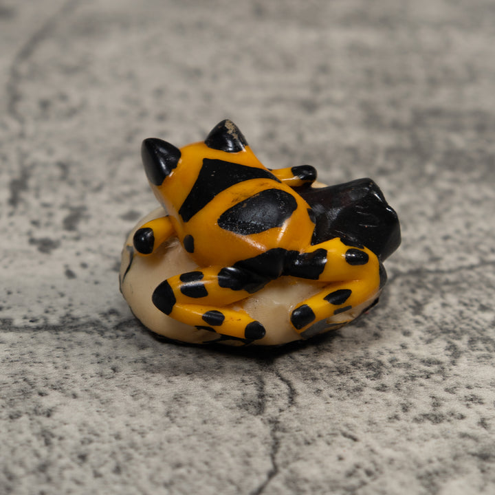 Black And Gold Poison Dart Frog Tagua Carving
