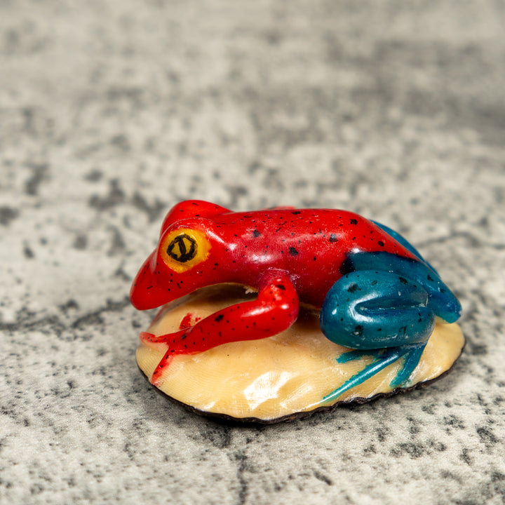 Red And Blue Poison Dart Frog Tagua Carving
