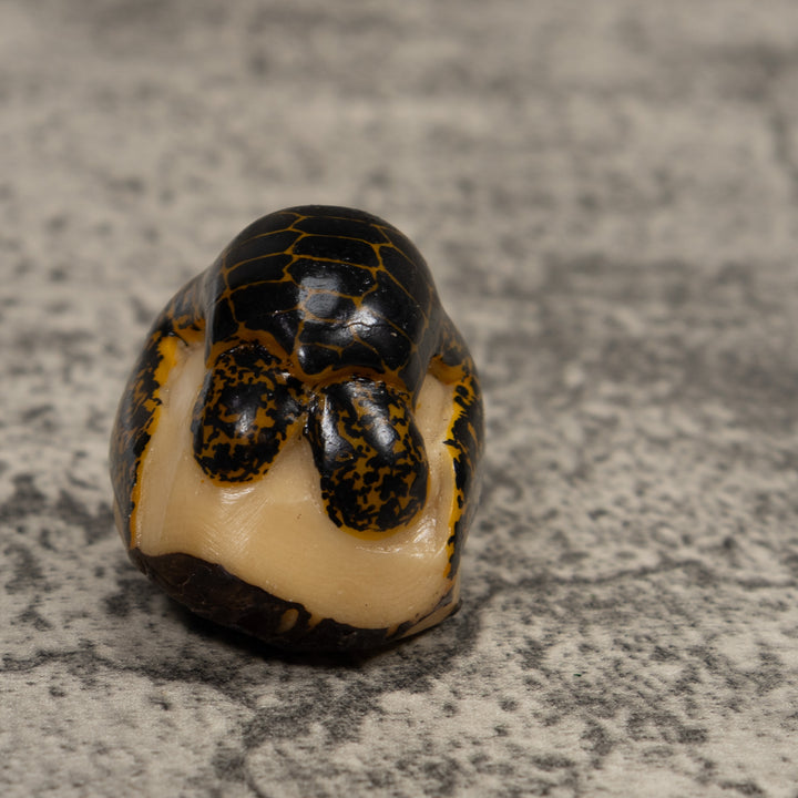 Vintage Sea Turtle Tagua Carving