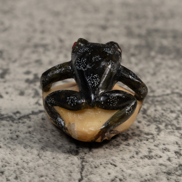 Black Red-Eyed Poison Dart Frog Tagua Carving