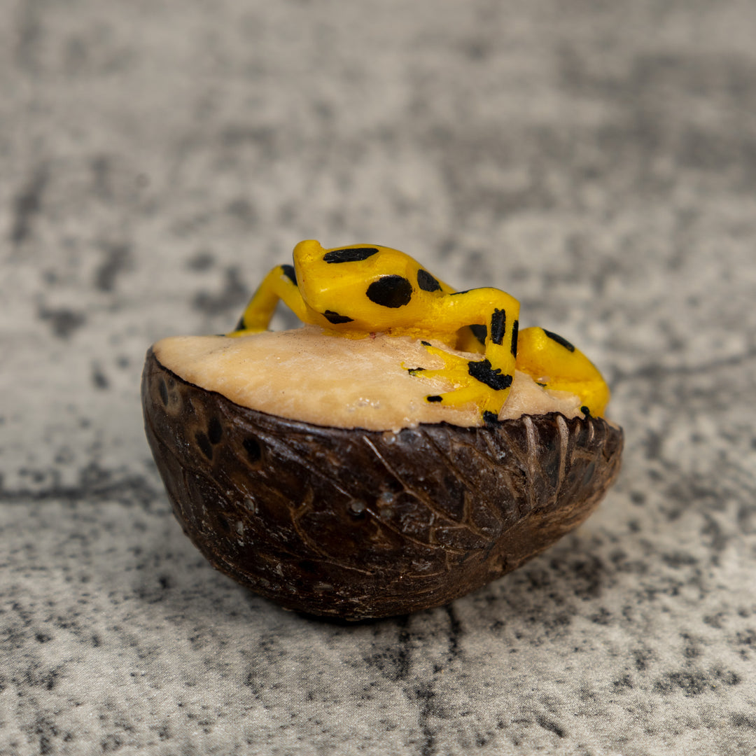 Golden Frog Tagua Carving