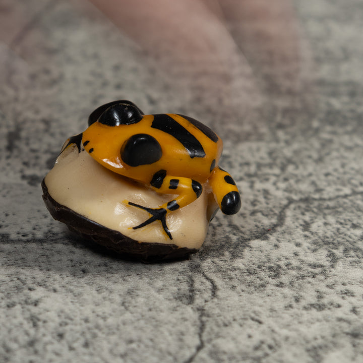 Black And Gold Poison Dart Frog Tagua Carving