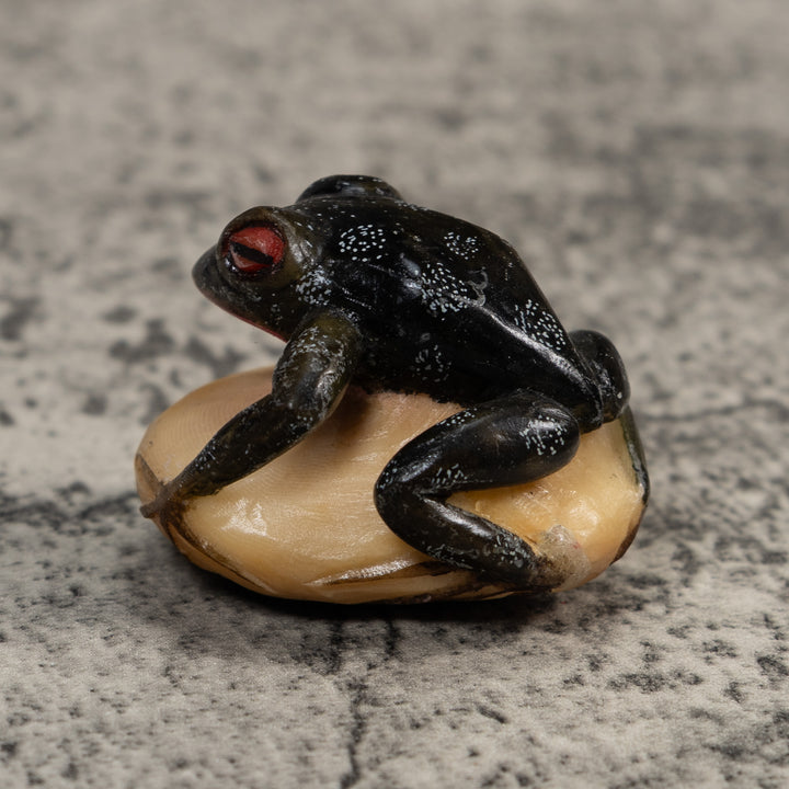 Black Red-Eyed Poison Dart Frog Tagua Carving