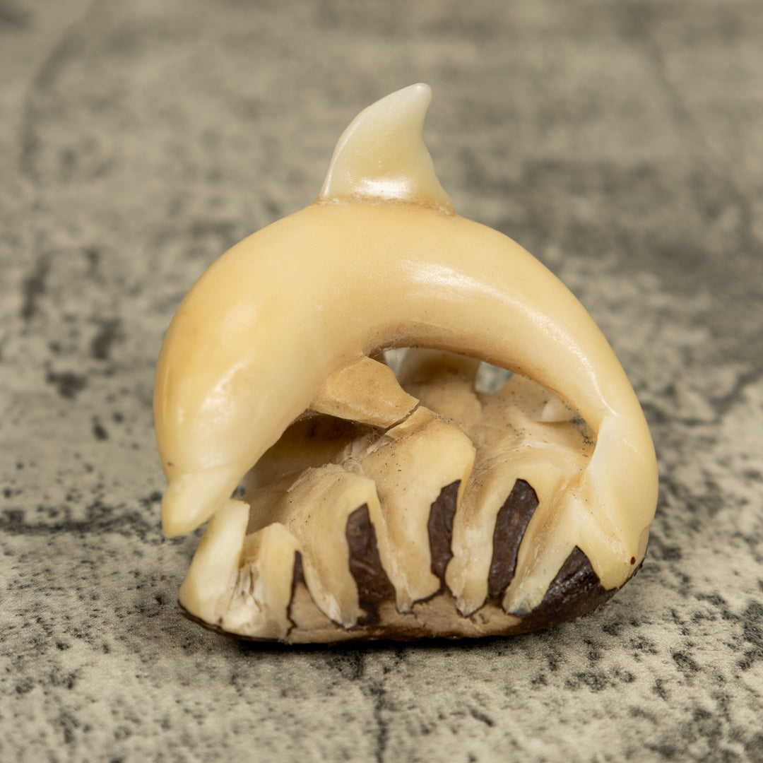 Natural White Dolphin Riding Waves Tagua Carving