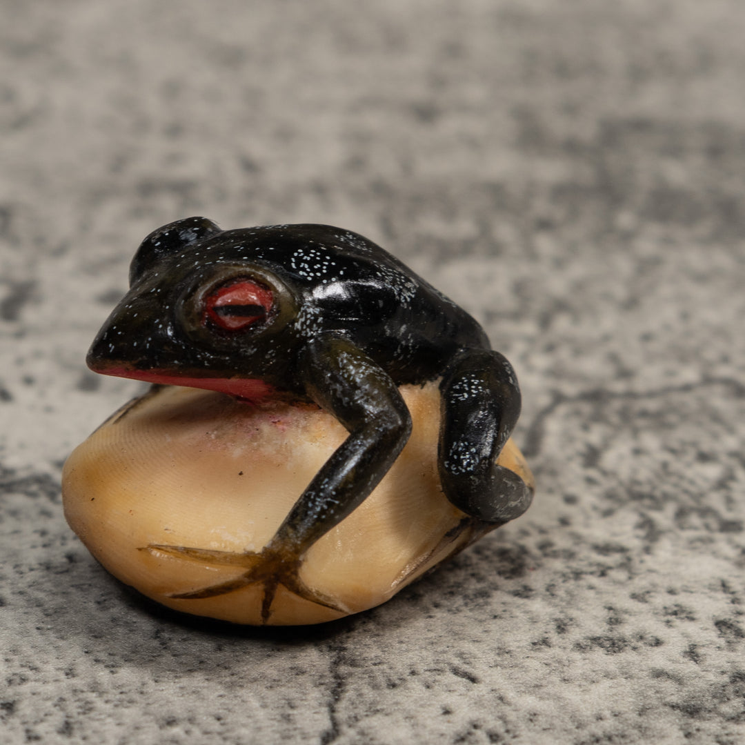 Black Red-Eyed Poison Dart Frog Tagua Carving