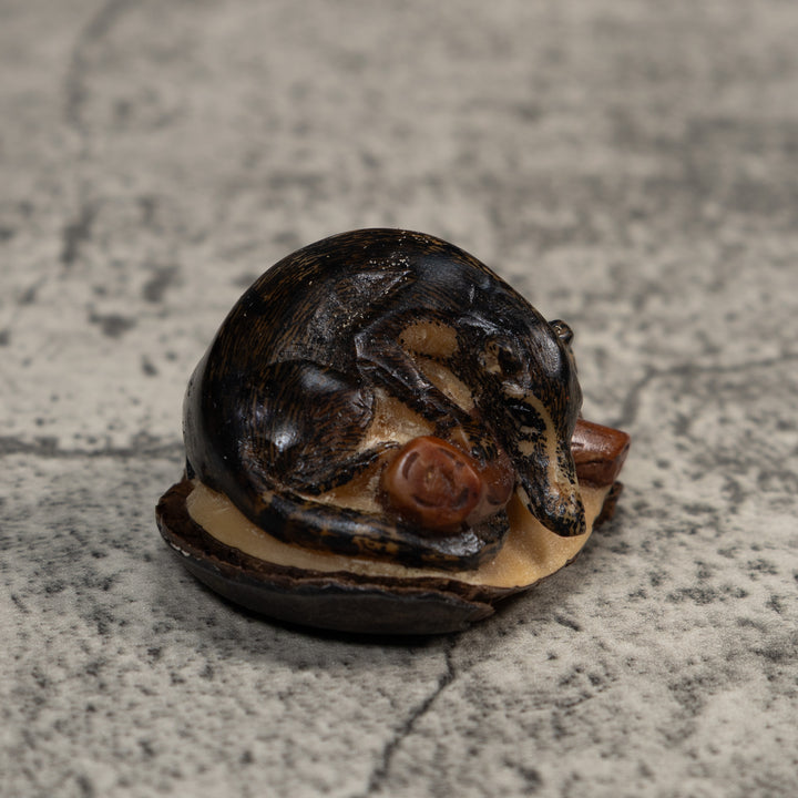 Rainforest Coatimundi Tagua Carving