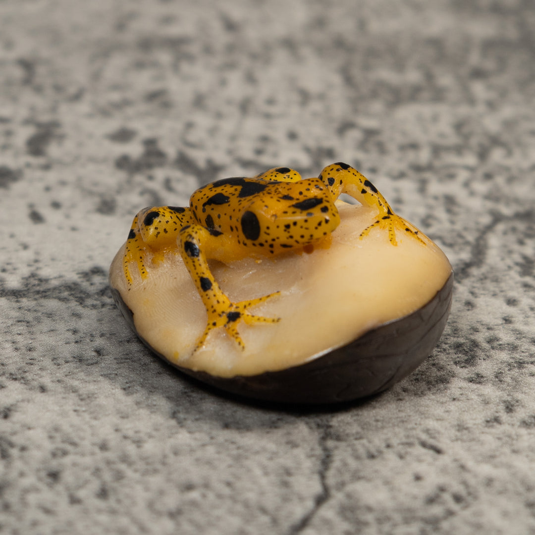 Vintage Gold And Black Frog Tagua Carving