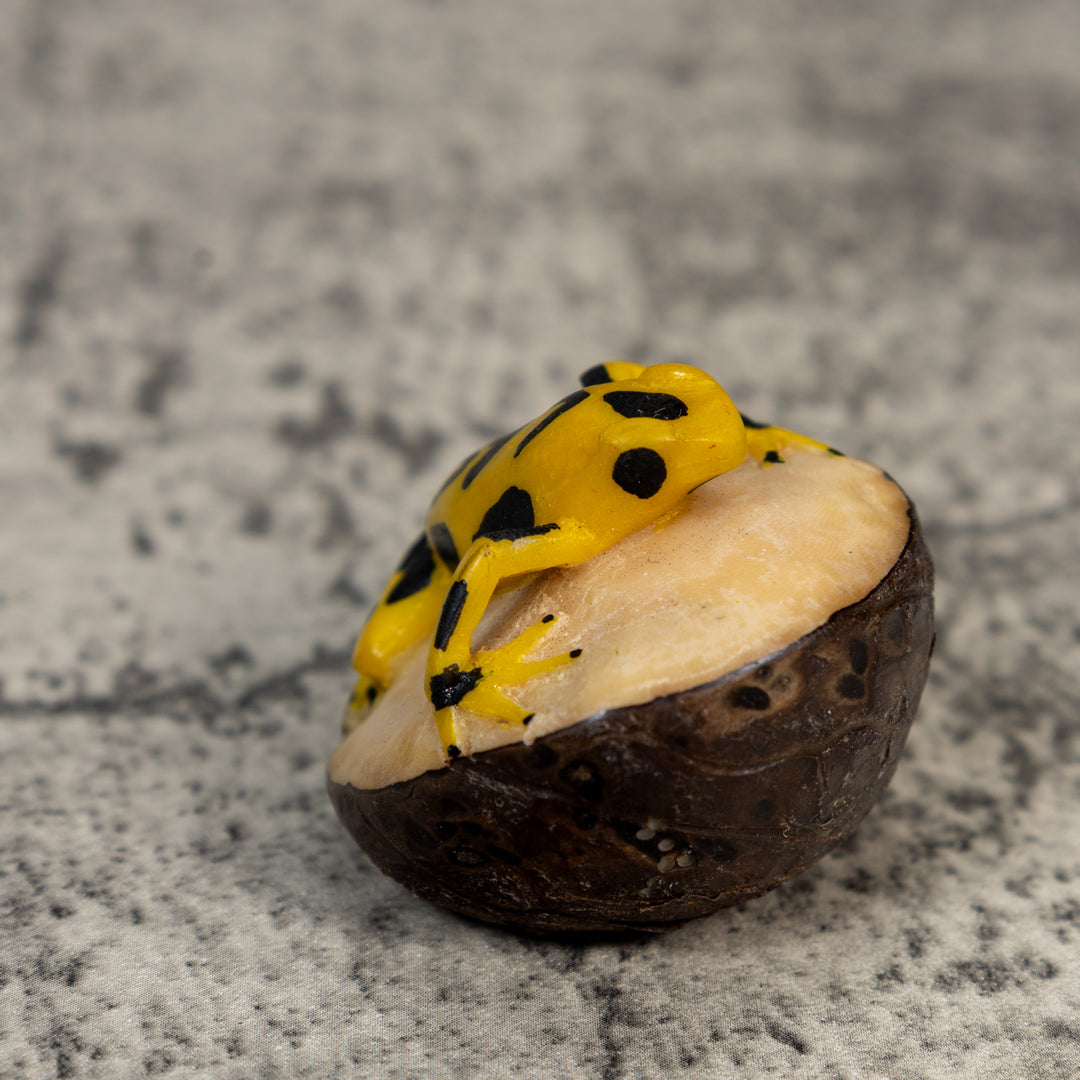 Golden Frog Tagua Carving