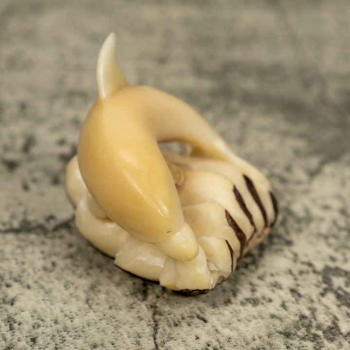 Natural White Dolphin Riding Waves Tagua Carving