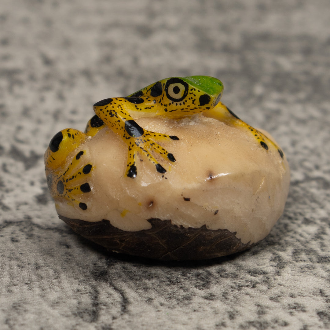 Poison Dart Frog Tagua Carving