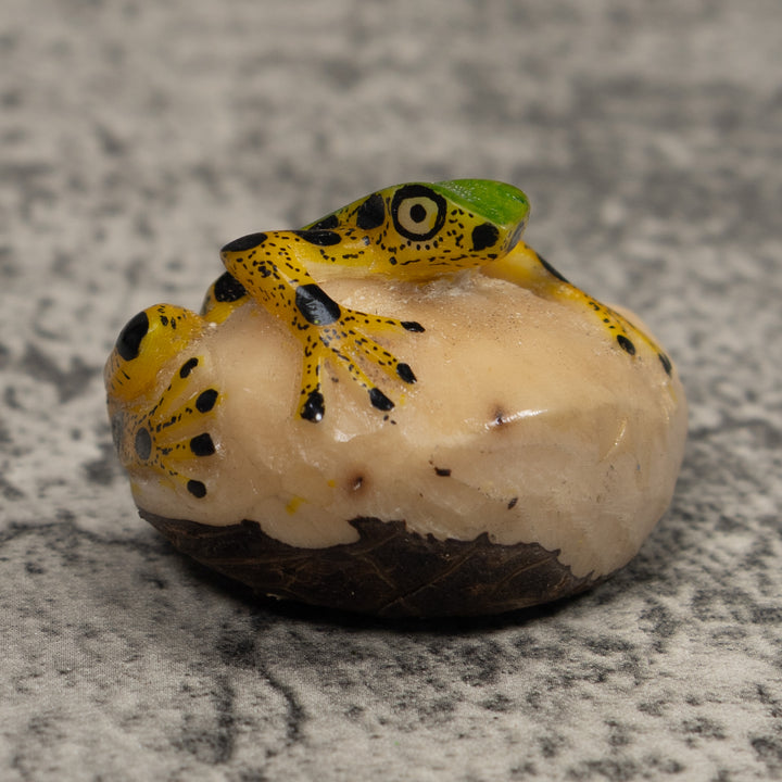 Poison Dart Frog Tagua Carving