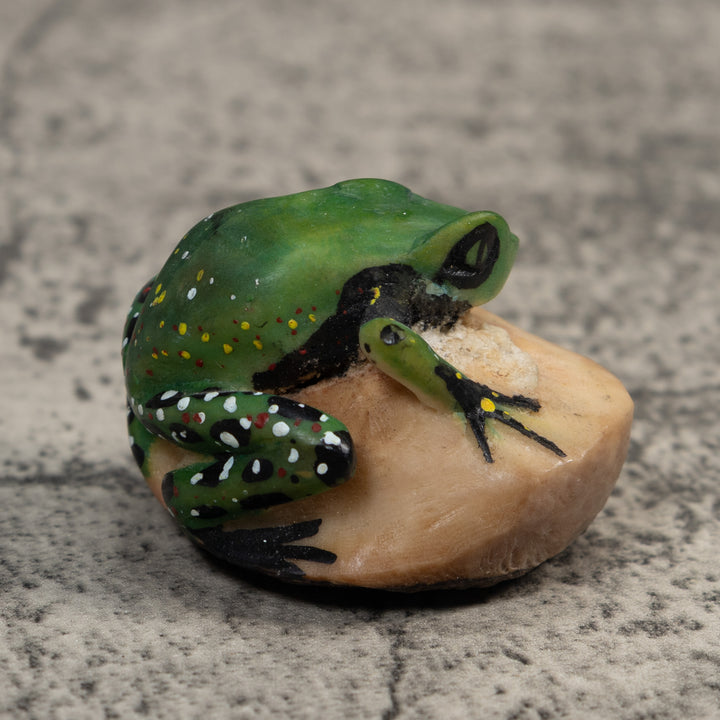 Vintage Poison Dart Frog Tagua Carving