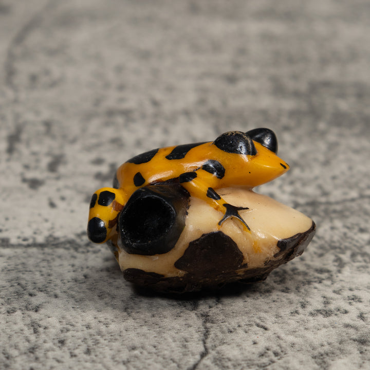 Black And Gold Poison Dart Frog Tagua Carving