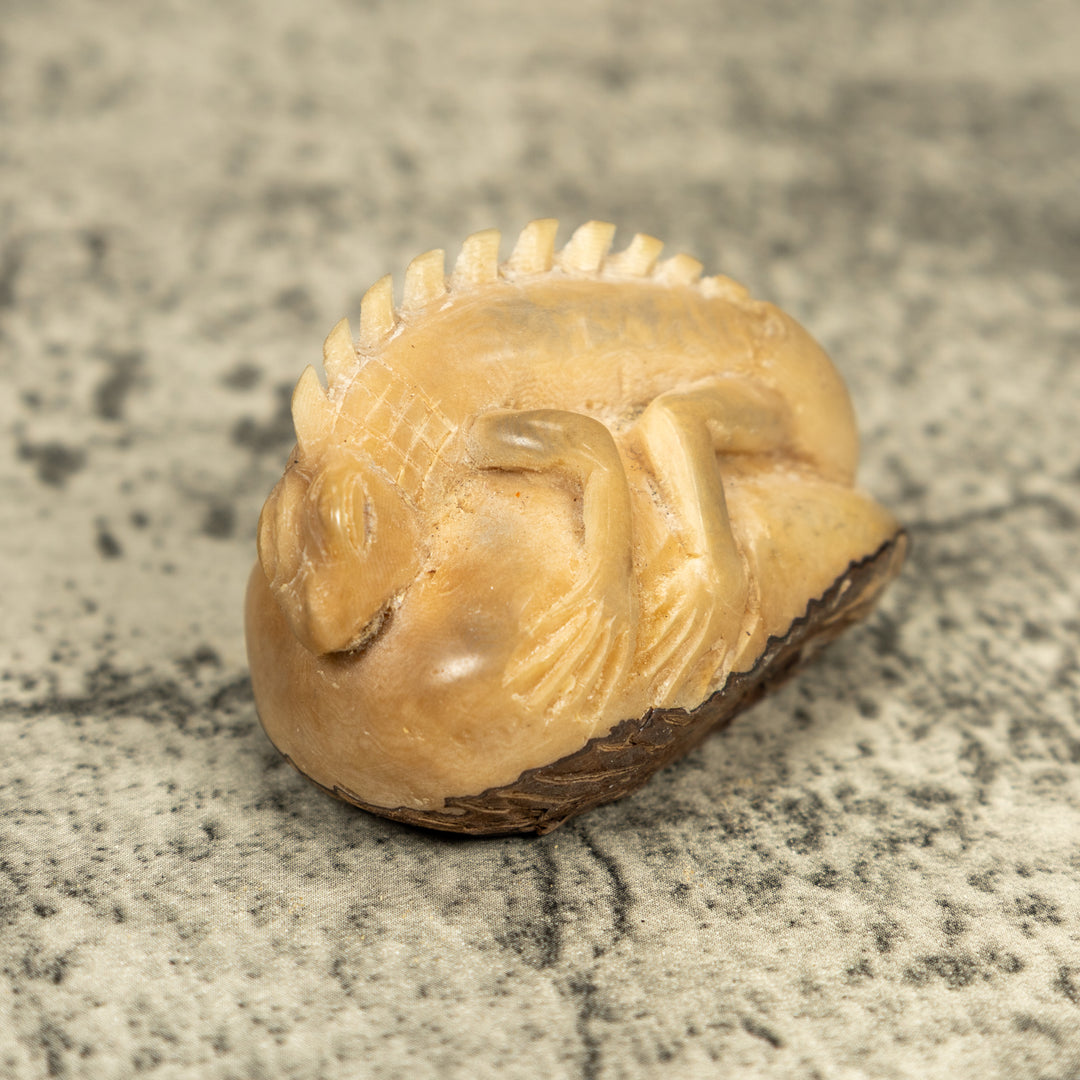 Natural White Iguana Lizard Tagua Carving