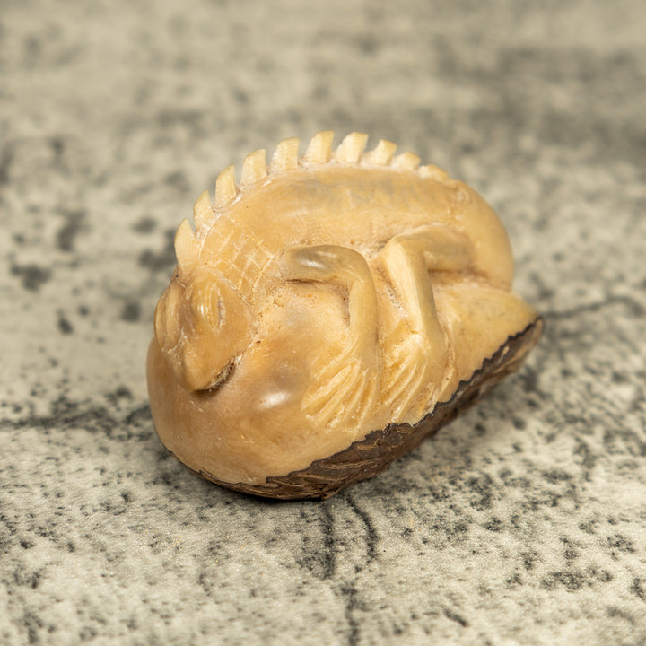 Natural White Iguana Lizard Tagua Carving