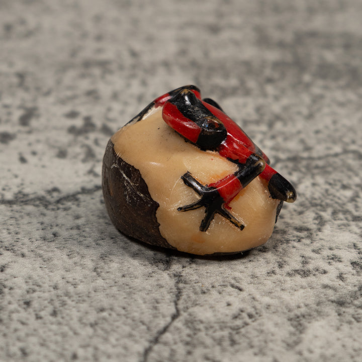 Red And Black Poison Dart Frog Tagua Carving