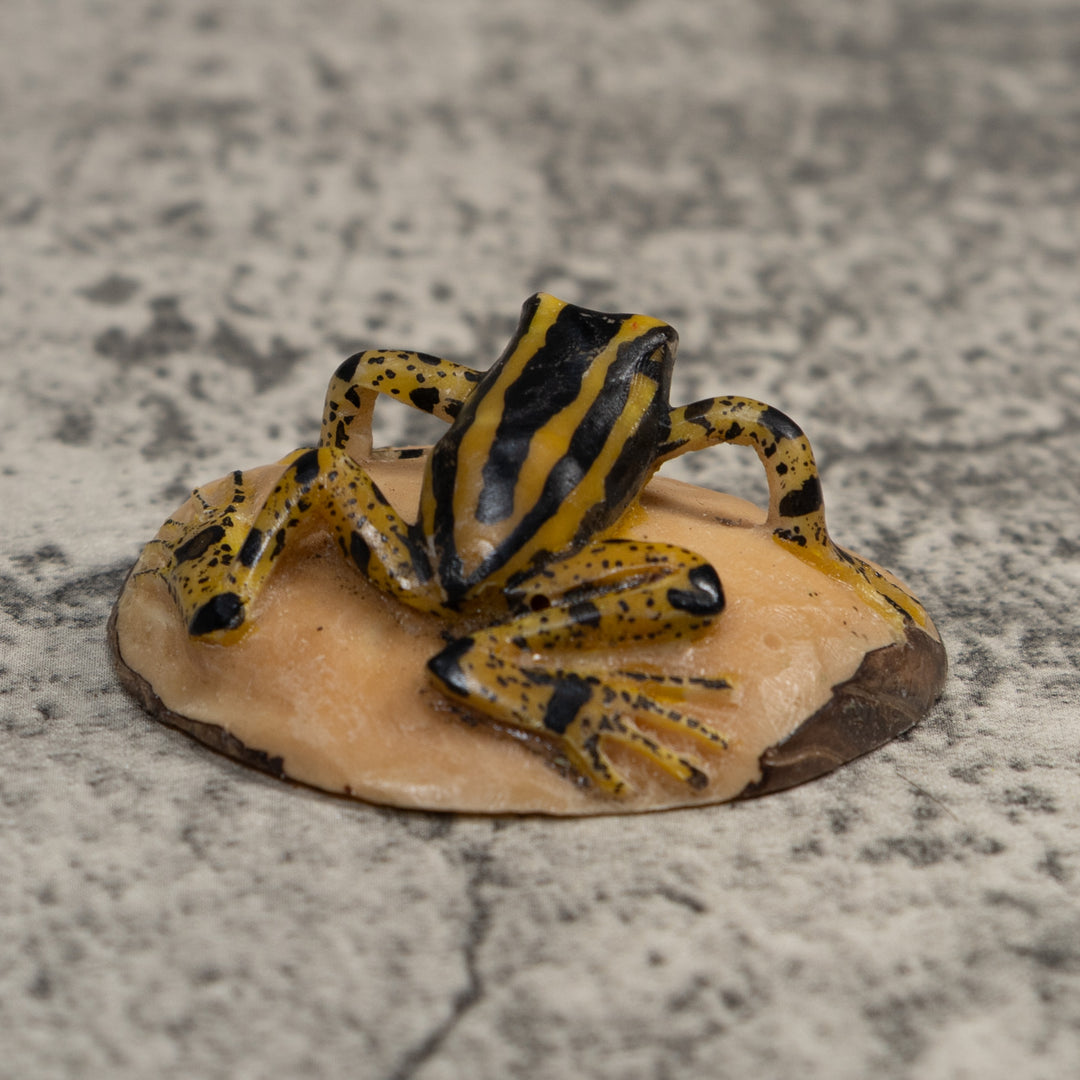 Vintage Black And Yellow Poison Dart Frog Tagua Carving