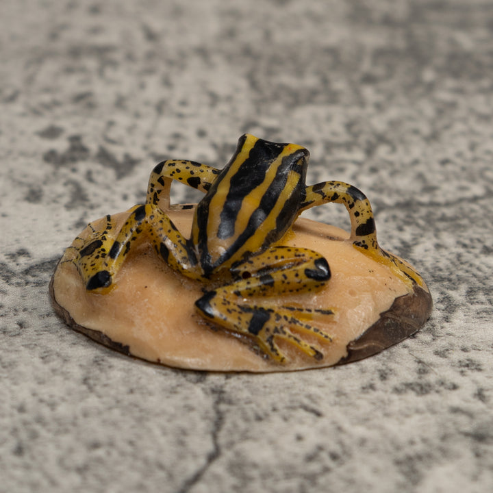 Vintage Black And Yellow Poison Dart Frog Tagua Carving