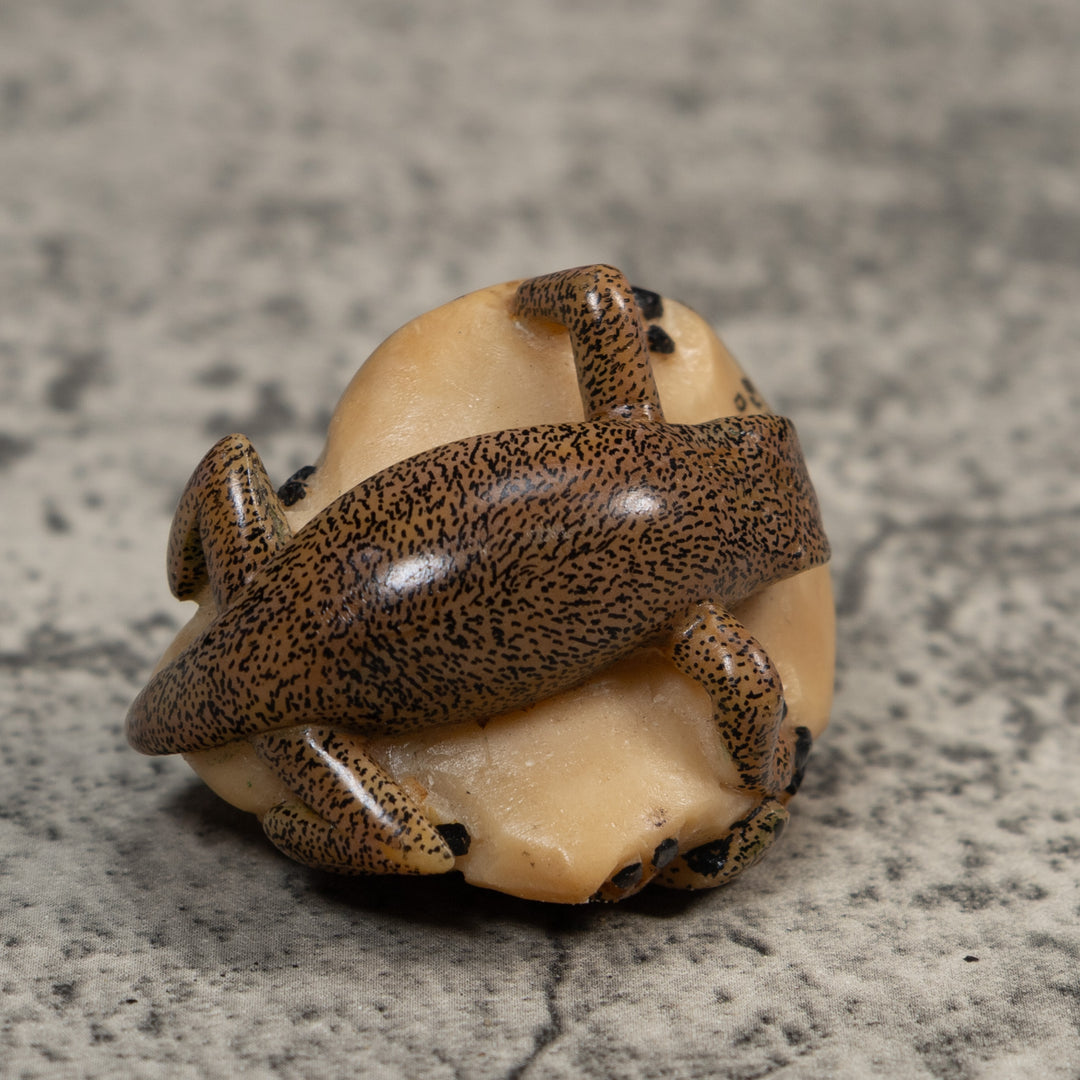Double Brown Gecko Lizard Tagua Carving